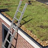 Dakgrind 16-32 mm 20kg