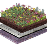 Biodivers Sedum Kruidendak