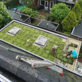 Groendak Lichtgewichtsysteem Extra