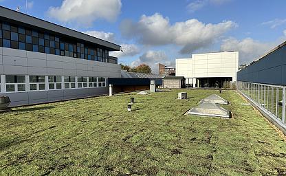 groendak brandweer haarlem 6