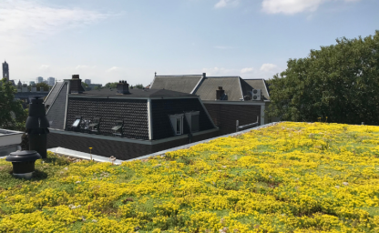 ontwerp zonder titel (82)