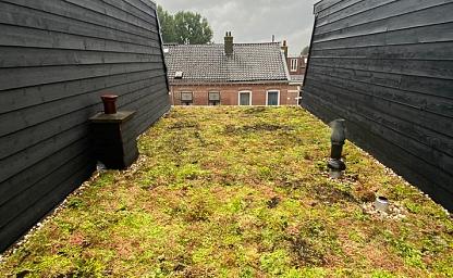 dakvergroeners groendak utrecht aanleg