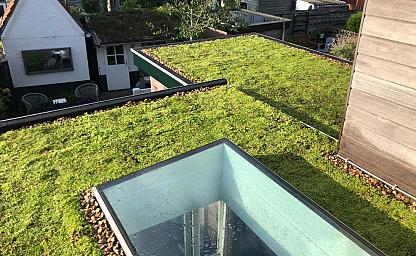 dakvergroeners groendak alphen aan den rijn