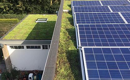 dakvergroeners groendak heesch