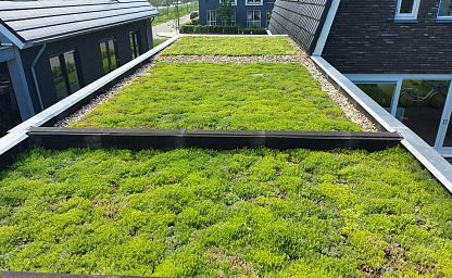 dakvergroeners sedumtray cassette