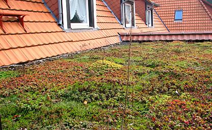 shutterstock 2638897