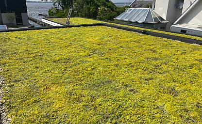 fba28248 d2cb 4f48 838e 6091ea927d7e