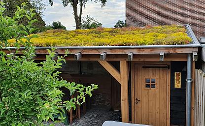 dakvergroeners groendak