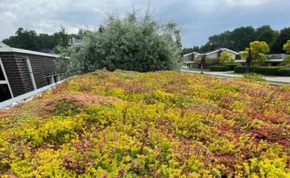 groendak op woonhuis