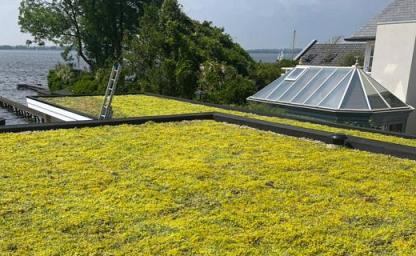 groendak dakvergroener