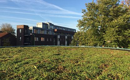 sedumdak isolatiewaarde