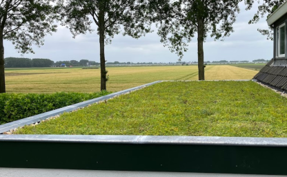 groendak dakvergroeners 3