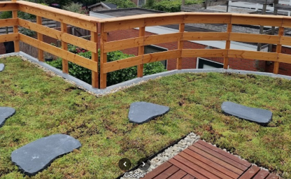 groendak dakvergroeners 1