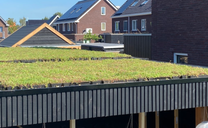 groendak dakvergroeners 2