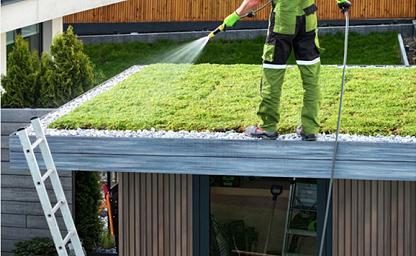 sedumdak water geven