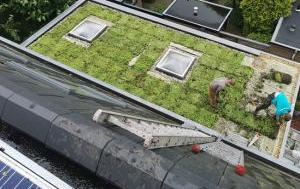 zakelijke vergoeners