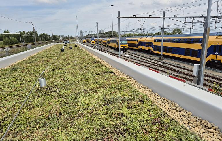 Groendak NS Dienstgebouw Hoofddorp