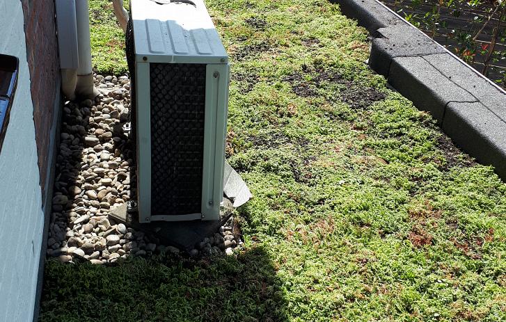 Groendak geplaatst in Nijmegen