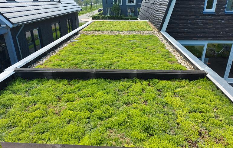 Groendak Heereveen - Aanbouw