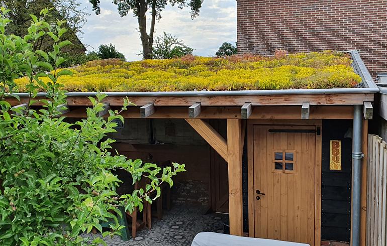 Grønt tag Veenendaal