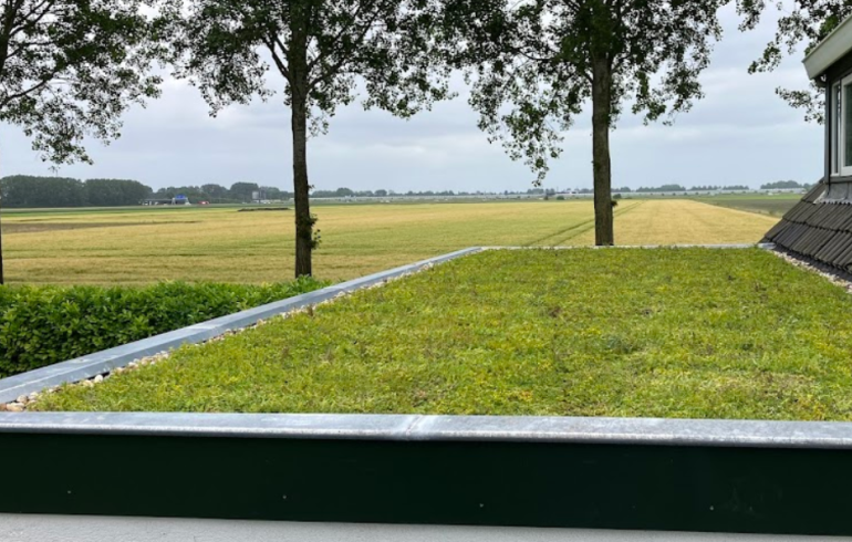 Hvilken gødning har du brug for til at gøde dit sedumtag?