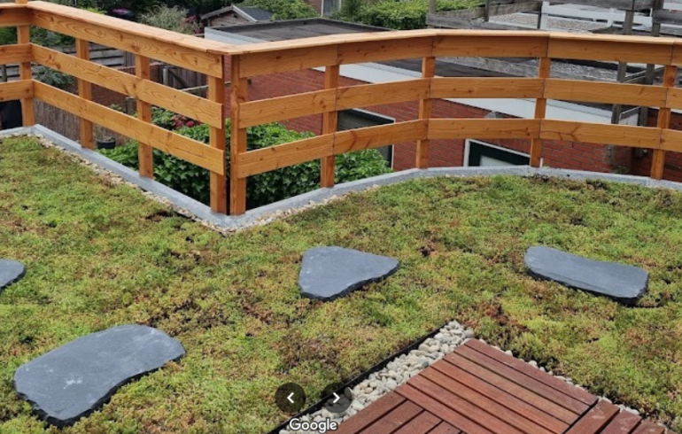 Hvornår er det bedst at anlægge, gødske og vande dit sedumtag