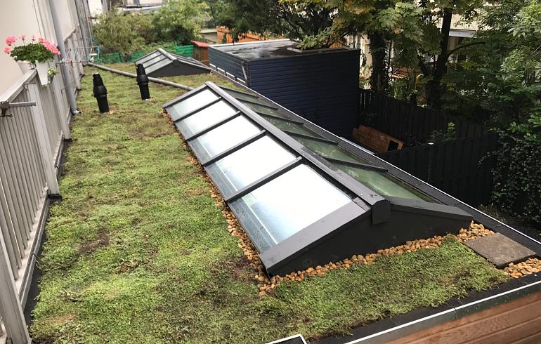 Groendak Amsterdam - Aanbouw